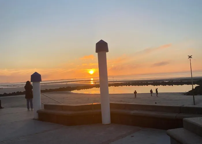 Maison De Wim & Chill